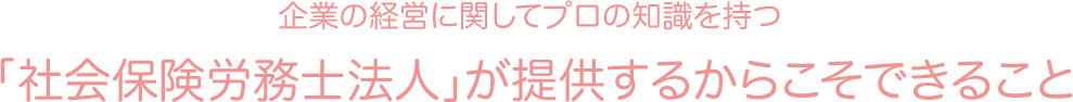 企業の経営に関してプロの知識を持つ  「社会保険労務士法人」が提供するからこそできること